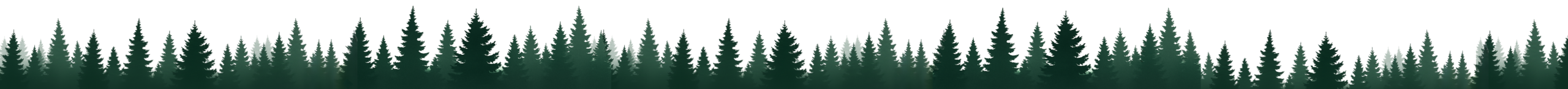 Long Trees Image scaled