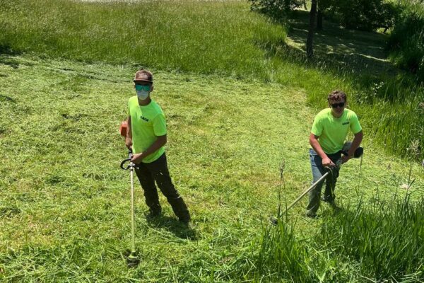 photo_5134501968238807971_y