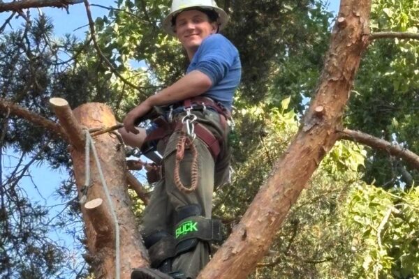 photo_5134501968238807974_y