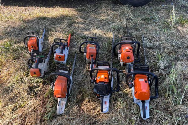 photo_5134501968238807981_y