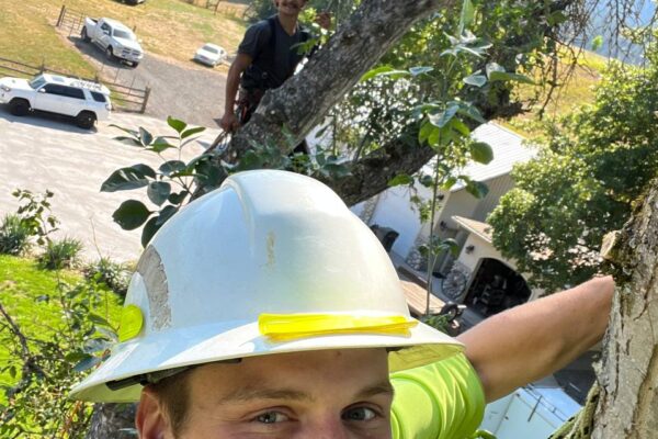 photo_5134501968238807993_y