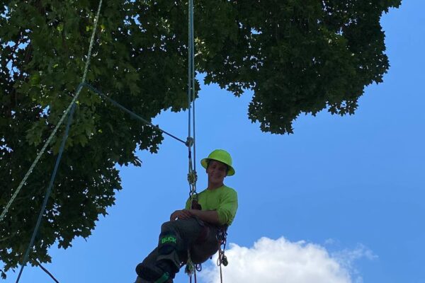 photo_5134501968238807997_y