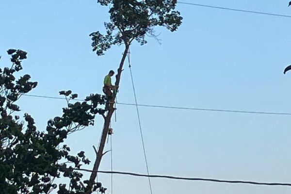 photo_5134501968238807998_y