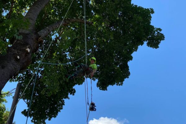 photo_5134501968238807999_y