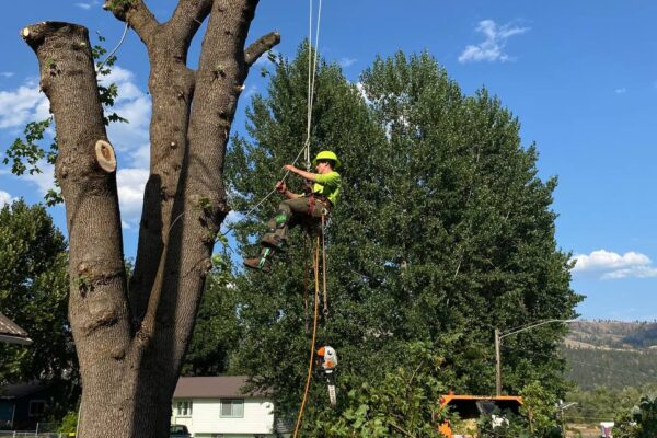 photo_5134501968238808000_y