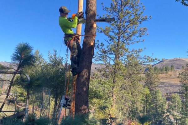 photo_5184052198478908194_y