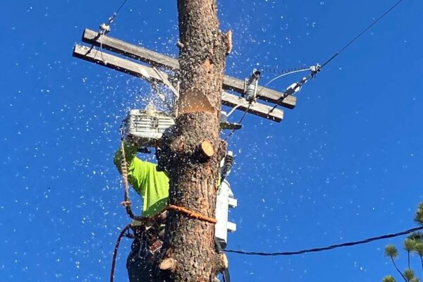 photo_5184052198478908199_y