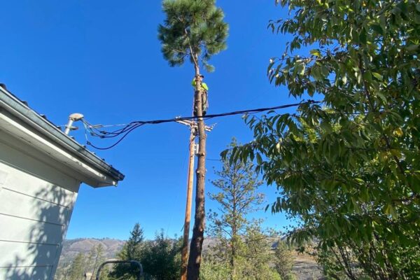 photo_5184052198478908203_y