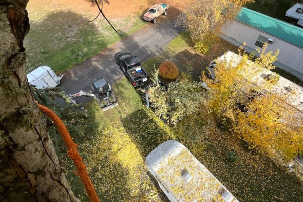 photo_5184052198478908208_y