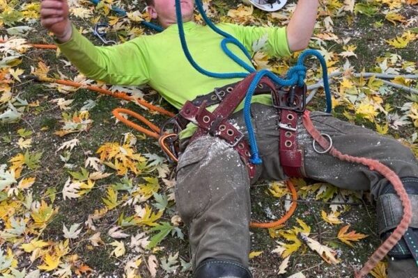 photo_5184052198478908209_y