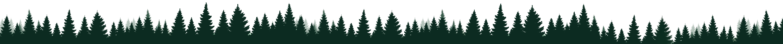 Long Trees Image scaled 2